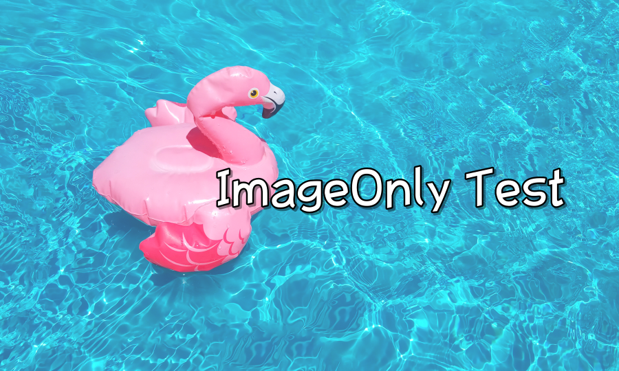 ImageOnly Test